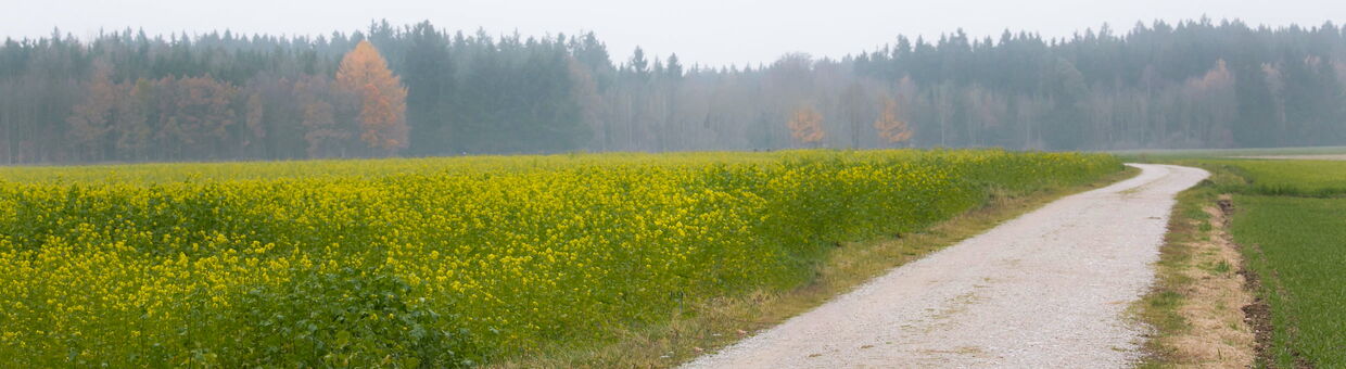 Barbara Mallmann und Christine Billmann